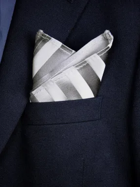 Boy's Pocket Square 18243 Silver Tonal