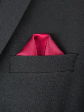 Boy's Pocket Square 27695 Carmine